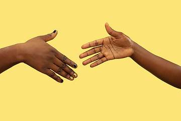 Image showing Close up shot of human holding hands isolated on yellow studio background.