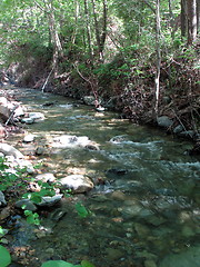 Image showing The river. Cyprus