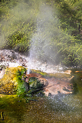 Image showing volcanic activities at waimangu