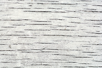 Image showing Texture of grunge wood background closeup