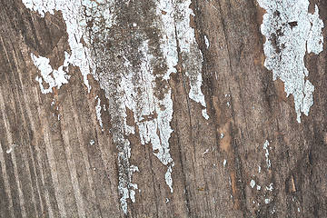 Image showing Texture of grunge wood background closeup