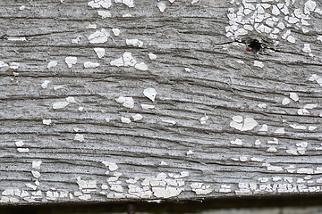 Image showing Texture of grunge wood background closeup