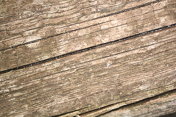 Image showing Texture of grunge wood background closeup