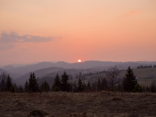 Image showing forest sunset