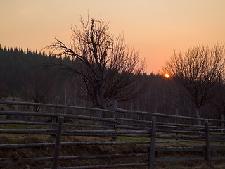 Image showing forest sunset