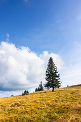 Image showing landscape scenery near Freiburg Breisgau south Germany