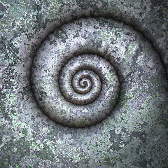 Image showing petrification spiral