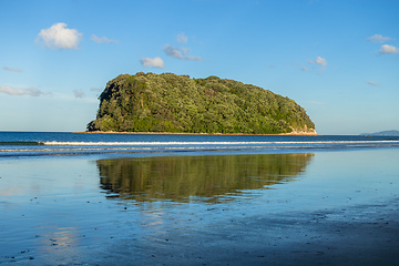 Image showing Bay Of Plenty