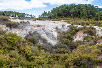 Image showing geothermal activity at Rotorua in New Zealand