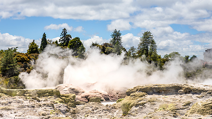 Image showing Geyser in New Zealand Rotorua