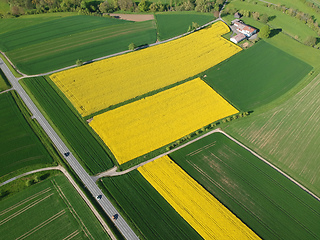 Image showing flight over some rape fields in south Germany near Herrenberg