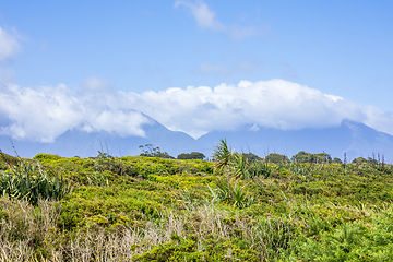 Image showing Landscape scenery in south New Zealand