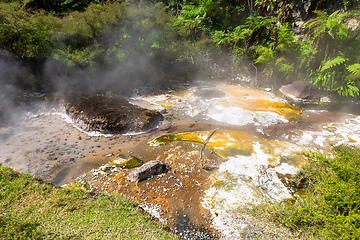 Image showing volcanic activities at waimangu