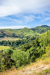 Image showing typical rural landscape in New Zealand