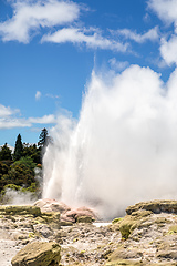 Image showing Geyser in New Zealand Rotorua