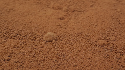 Image showing Cocoa powder in camera motion closeup footage