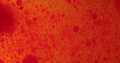 Image showing Small red blood cells in fluid