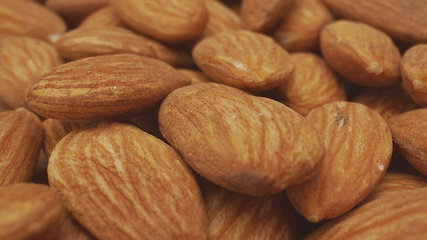 Image showing Almond macro footage with camera motion