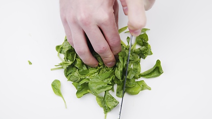 Image showing Cutting up green fresh spinach