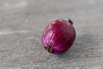 Image showing close up of red onion on slate stone background