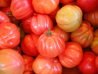 Image showing Fresh red tomatoes