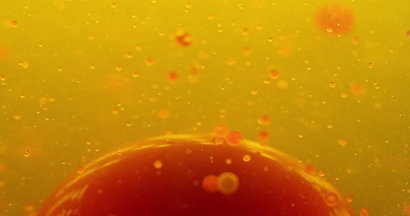 Image showing Small red blood cells in fluid