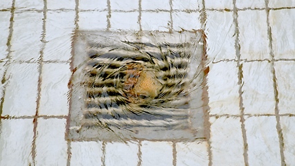 Image showing Steel drain on tiled floor with water whirling