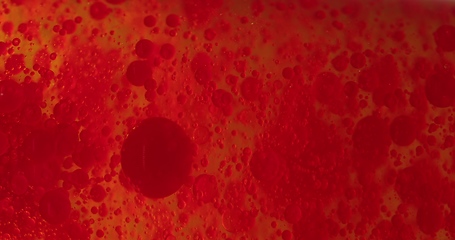 Image showing Small red blood cells in fluid