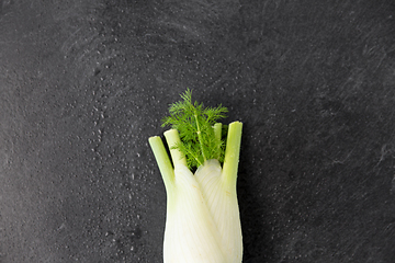 Image showing fennel on table on slate stone background