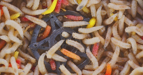 Image showing Lots of worms crawling as background texture closeup footage