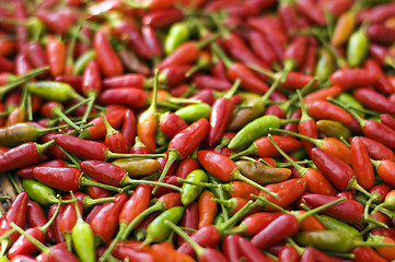 Image showing chili