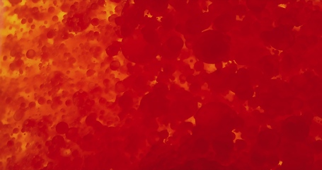 Image showing Stream of red blood cells in glowing plasma closeup footage