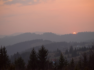 Image showing forest sunset