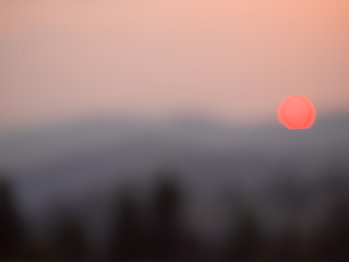 Image showing forest sunset