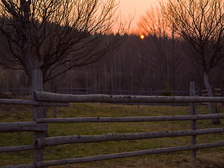 Image showing forest sunset