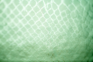 Image showing snake skin