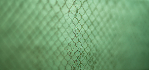 Image showing snake skin