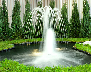 Image showing Green fountain