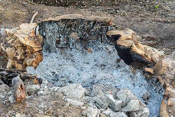 Image showing Burning a large tree stump in the garden