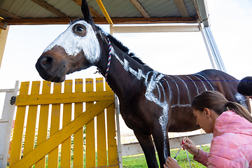 Image showing Girl with watercolors paints a skeleton on a horse to celebrate Halloween