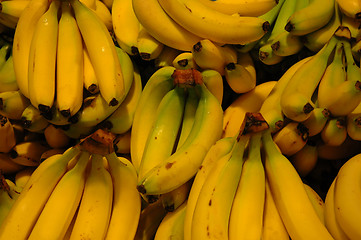 Image showing Bananas