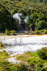 Image showing volcanic activities at waimangu