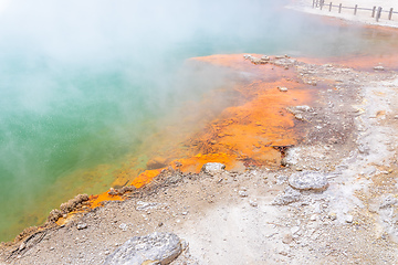 Image showing hot sparkling lake in New Zealand