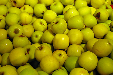 Image showing Apples on display