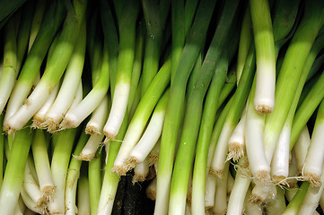 Image showing Celery on display