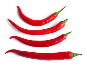 Image showing Red hot chilli pepper