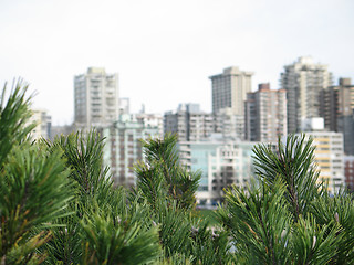 Image showing vancouver city view