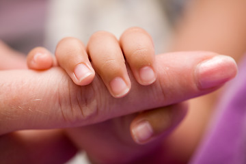 Image showing Tiny fingers