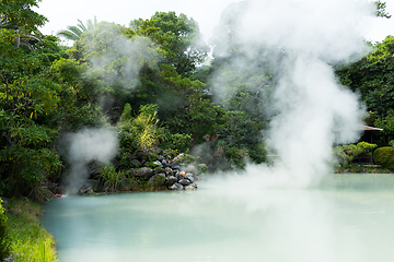 Image showing White pond hell