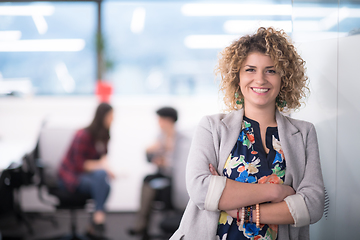 Image showing Portrait of successful female software developer